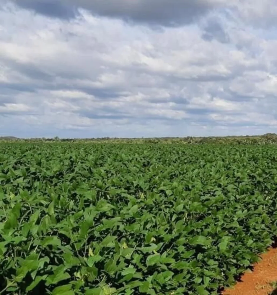 Fazenda, 1108 hectares - Foto 2