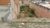 Terreno, 100 m² - Foto 5