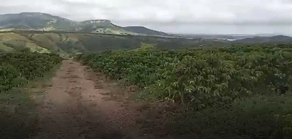 Fazenda, 104 hectares - Foto 2
