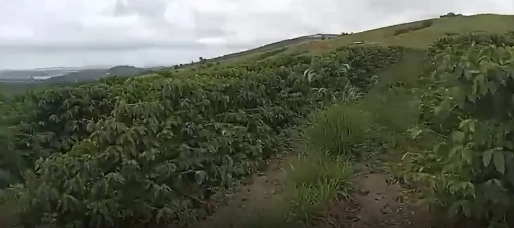 Fazenda, 104 hectares - Foto 4