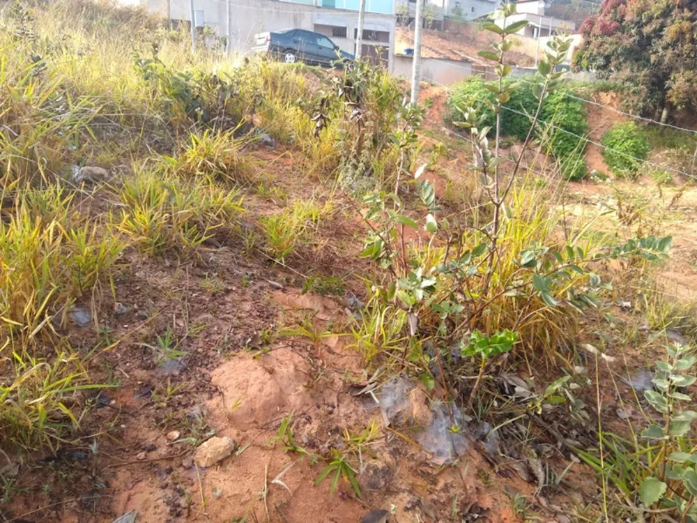 Terreno, 360 m² - Foto 6