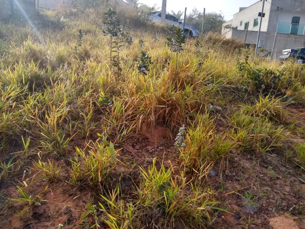 Terreno, 360 m² - Foto 3