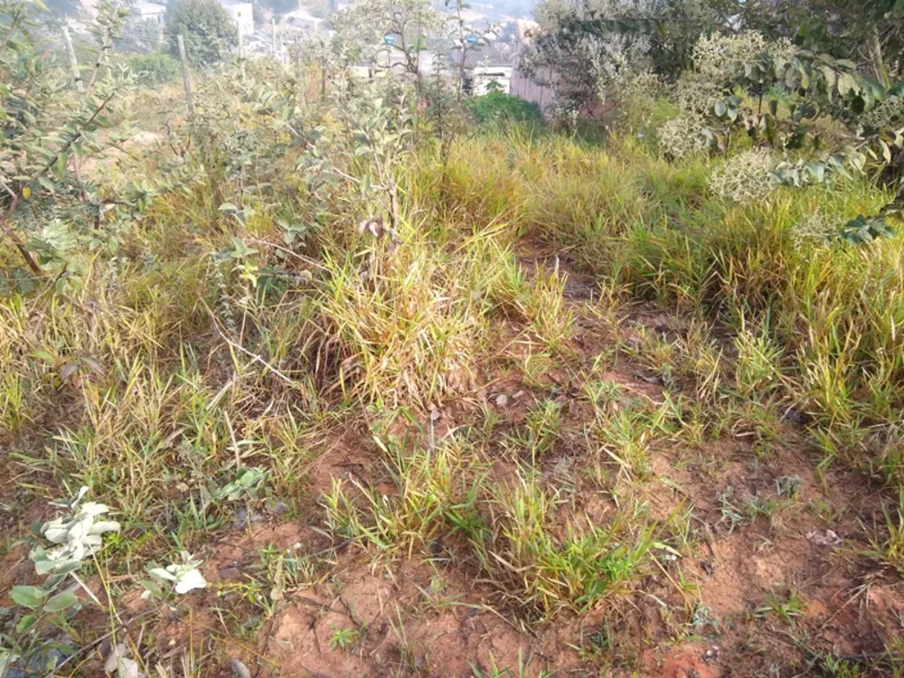 Terreno, 360 m² - Foto 7