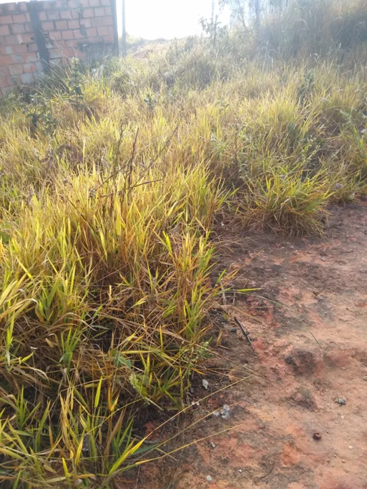 Terreno, 360 m² - Foto 11