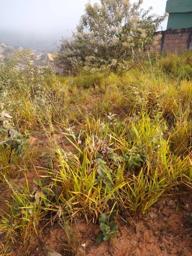 Terreno, 360 m² - Foto 15