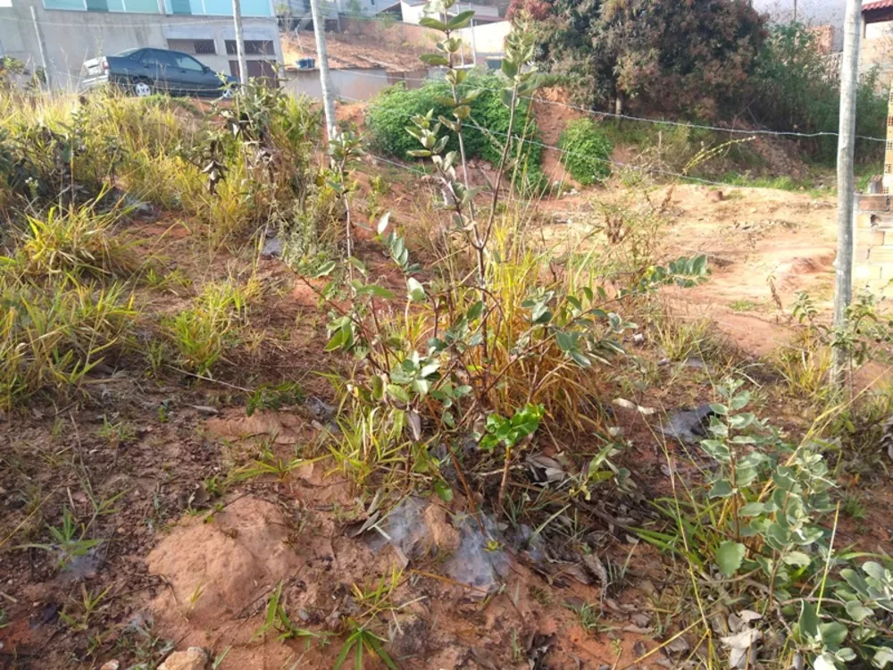 Terreno, 360 m² - Foto 5