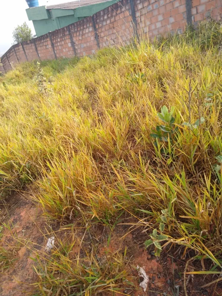 Terreno, 360 m² - Foto 7