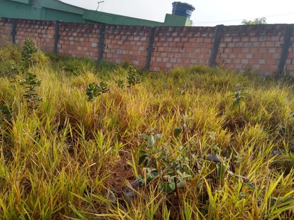 Terreno, 360 m² - Foto 5