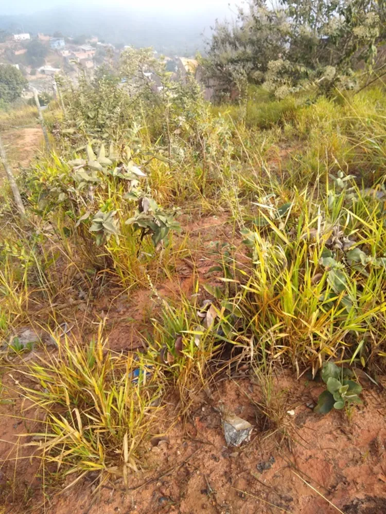 Terreno, 360 m² - Foto 9
