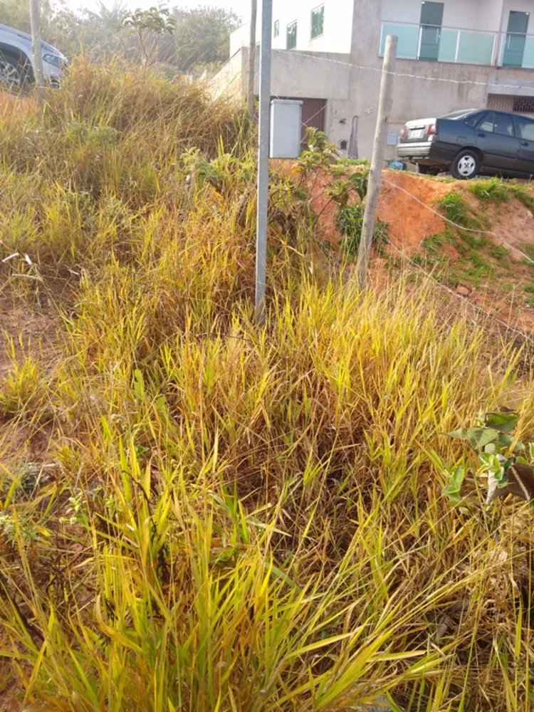 Terreno, 360 m² - Foto 17
