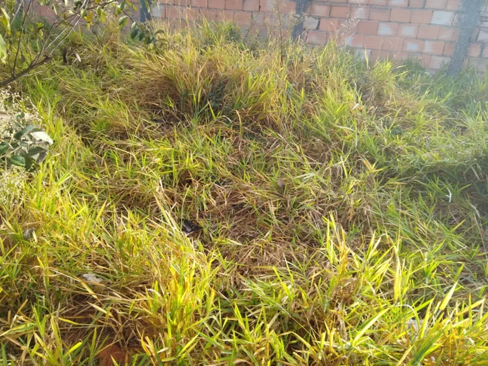 Terreno, 360 m² - Foto 2