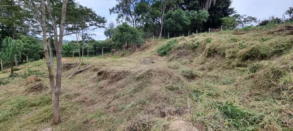 Chácara à venda com 1 quarto, 1000m² - Foto 1