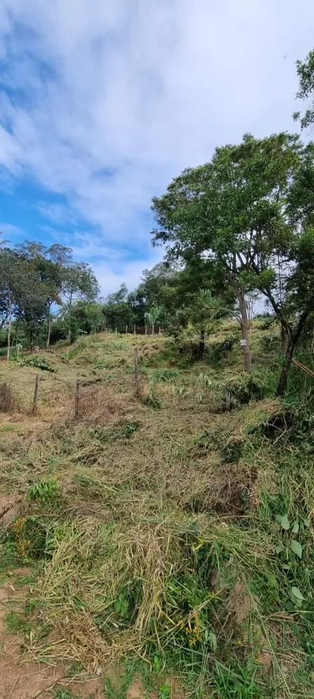 Chácara à venda com 1 quarto, 1000m² - Foto 4