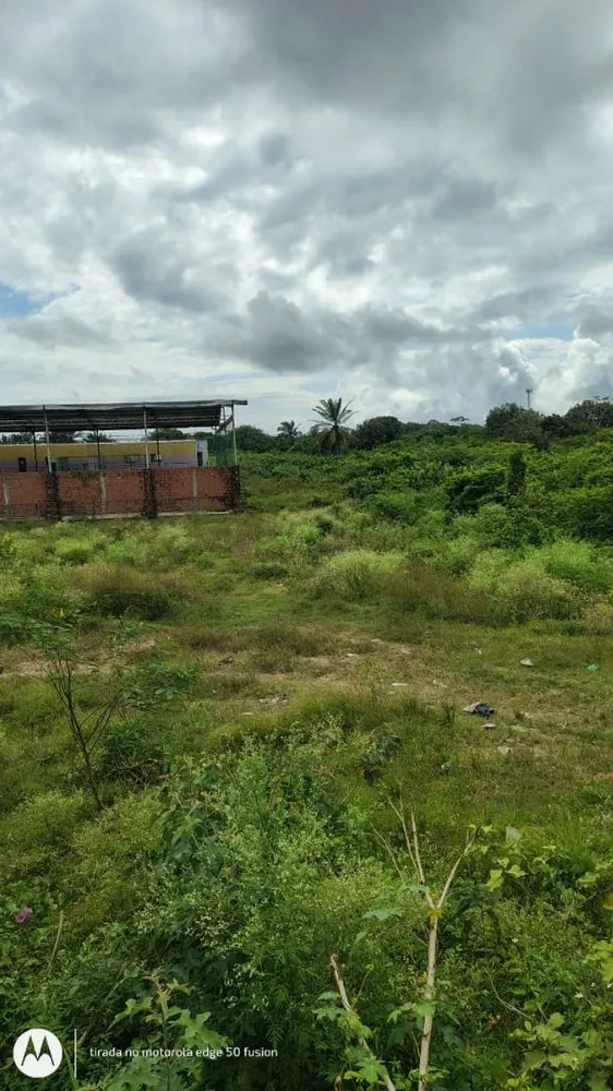 Depósito-Galpão, 360 m² - Foto 6
