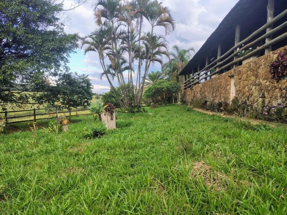 Fazenda, 202 hectares - Foto 3