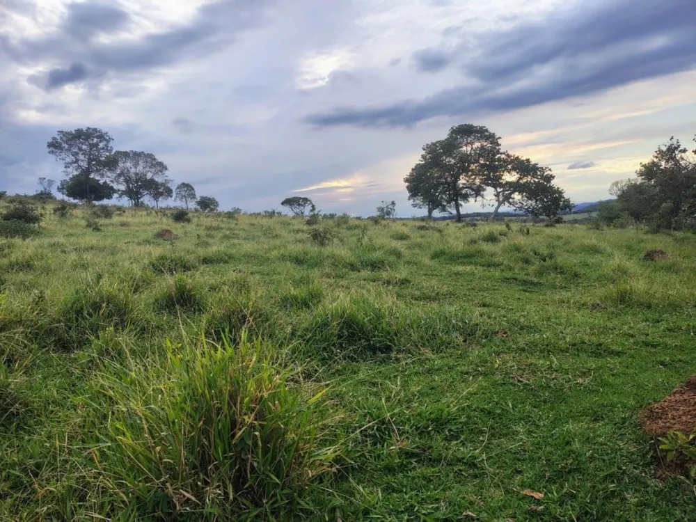 Fazenda, 202 hectares - Foto 8