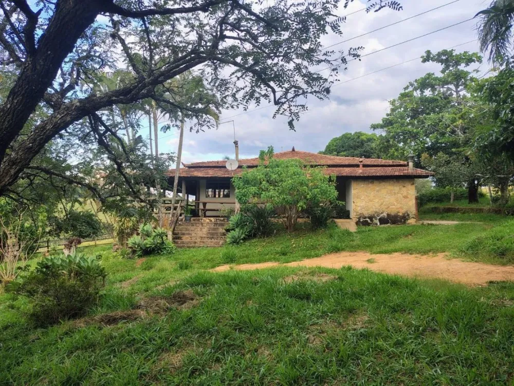 Fazenda, 202 hectares - Foto 4