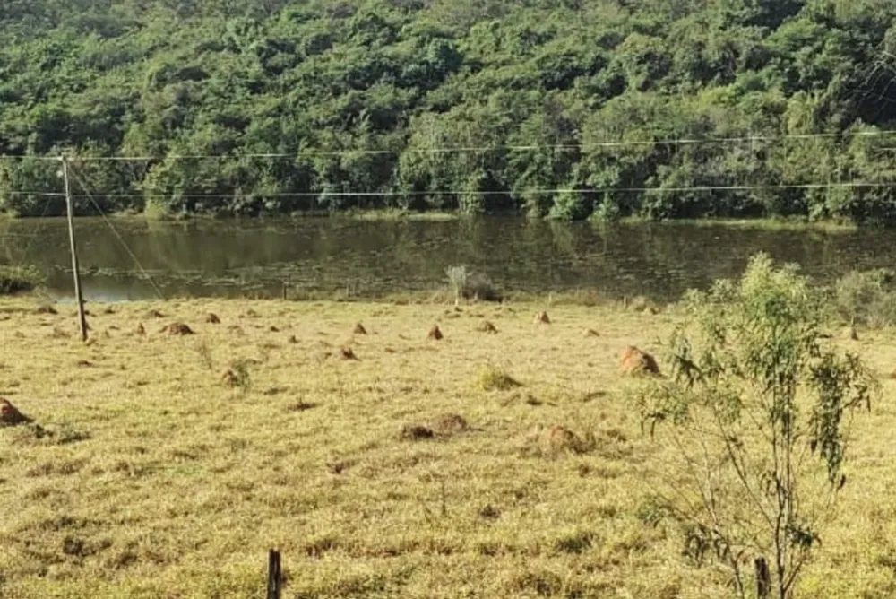 Fazenda, 202 hectares - Foto 7