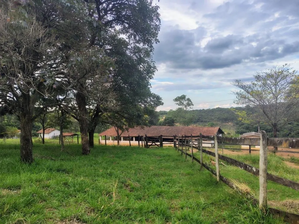 Fazenda, 202 hectares - Foto 1