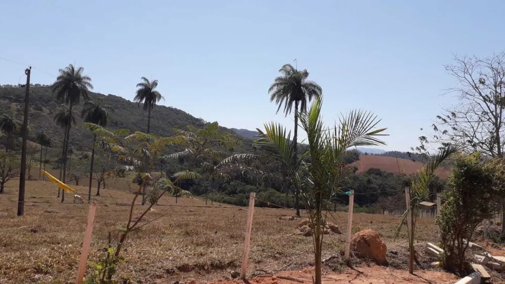 Chácara, 1 quarto, 1300 m² - Foto 2