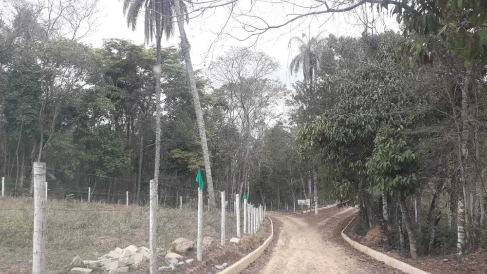 Chácara, 1 quarto, 1300 m² - Foto 3