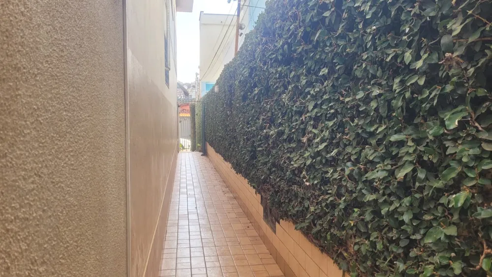 Casa, 3 quartos, 250 m² - Foto 7