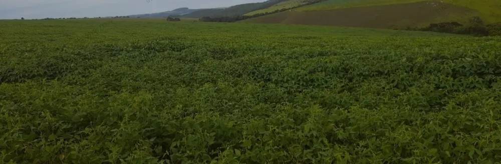 Fazenda, 1 quarto - Foto 8