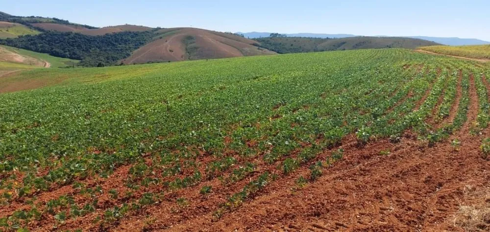 Fazenda, 1 quarto - Foto 4