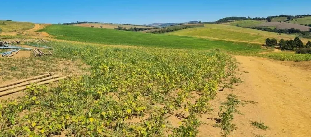 Fazenda, 1 quarto - Foto 3