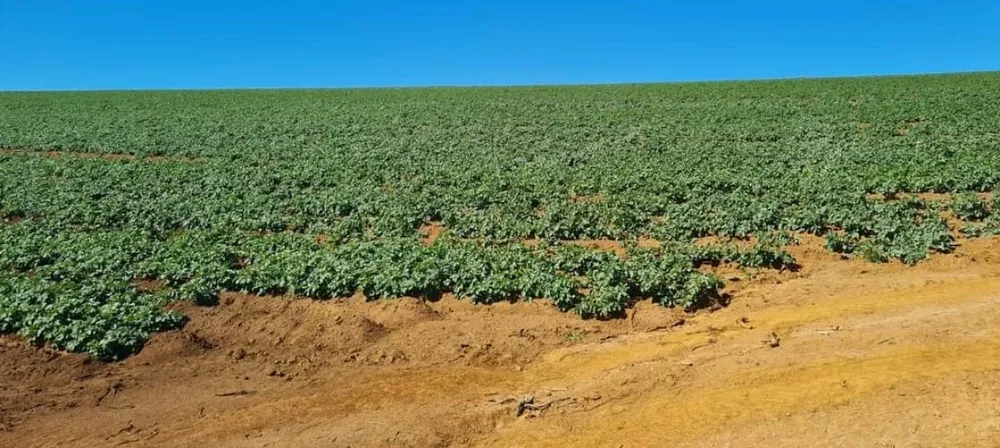 Fazenda, 1 quarto - Foto 6
