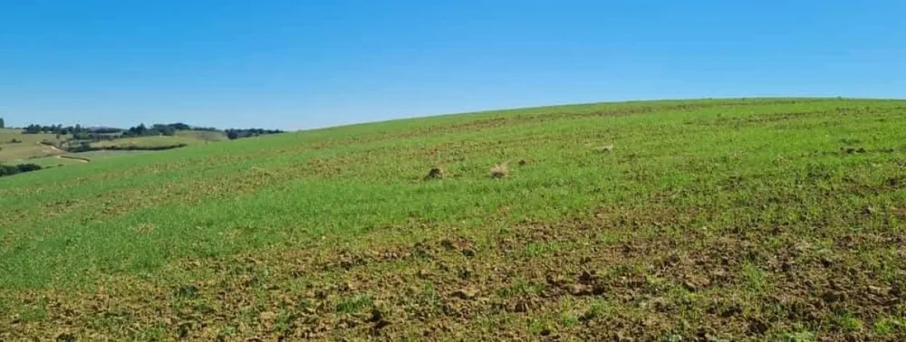 Fazenda, 1 quarto - Foto 8