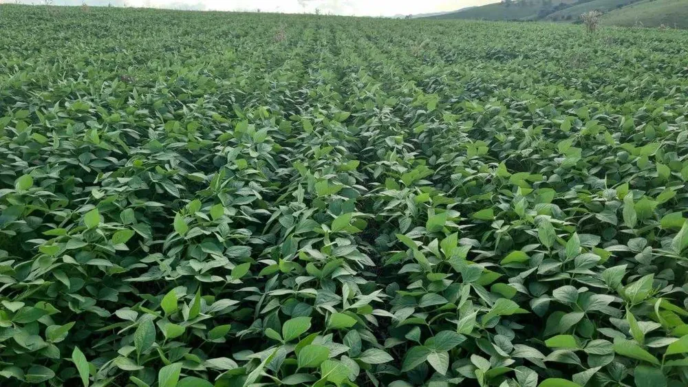 Fazenda, 1 quarto - Foto 1