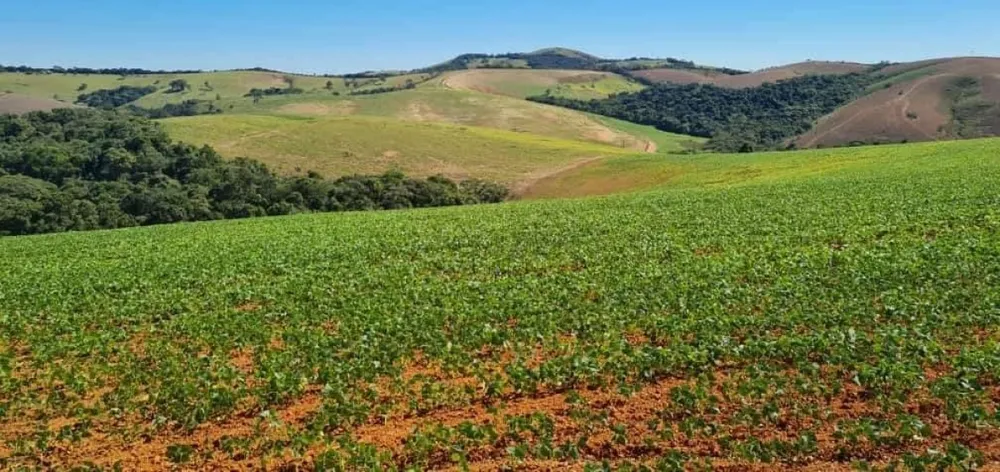 Fazenda, 1 quarto - Foto 2
