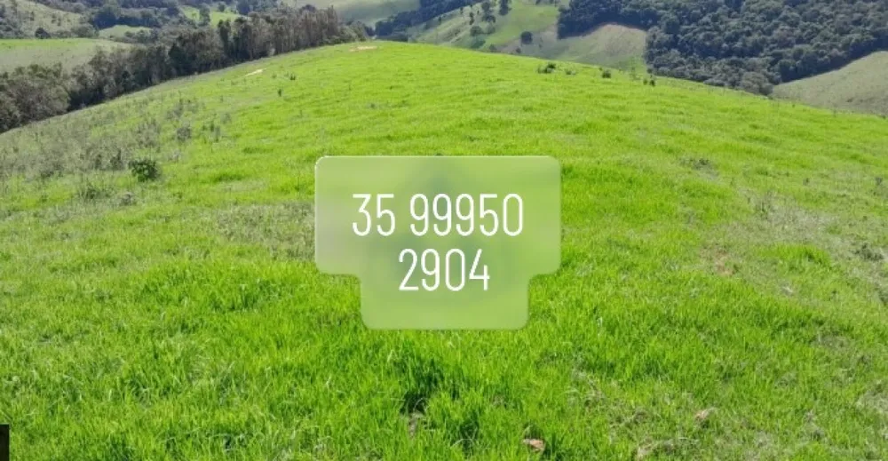 Fazenda, 73 hectares - Foto 1