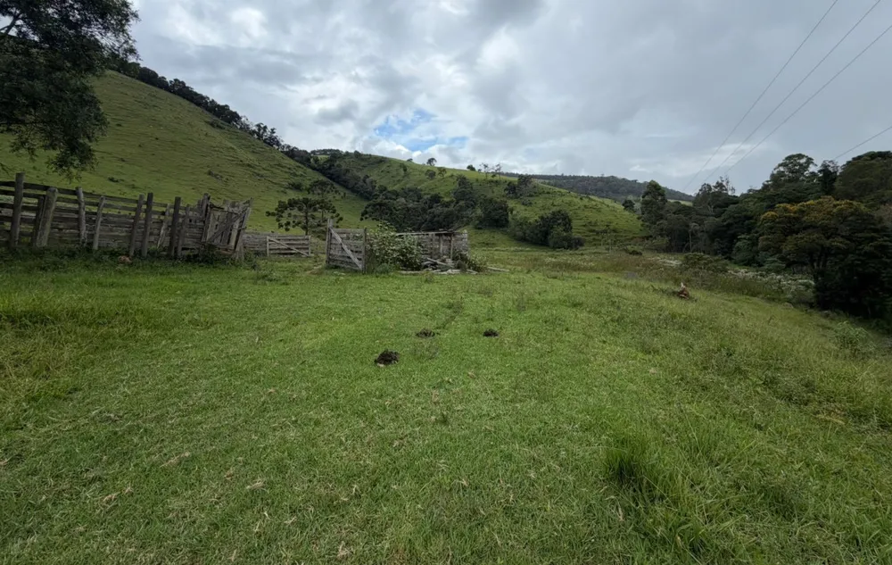 Fazenda, 73 hectares - Foto 2