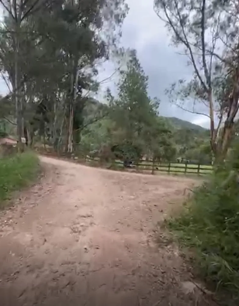 Fazenda, 73 hectares - Foto 6