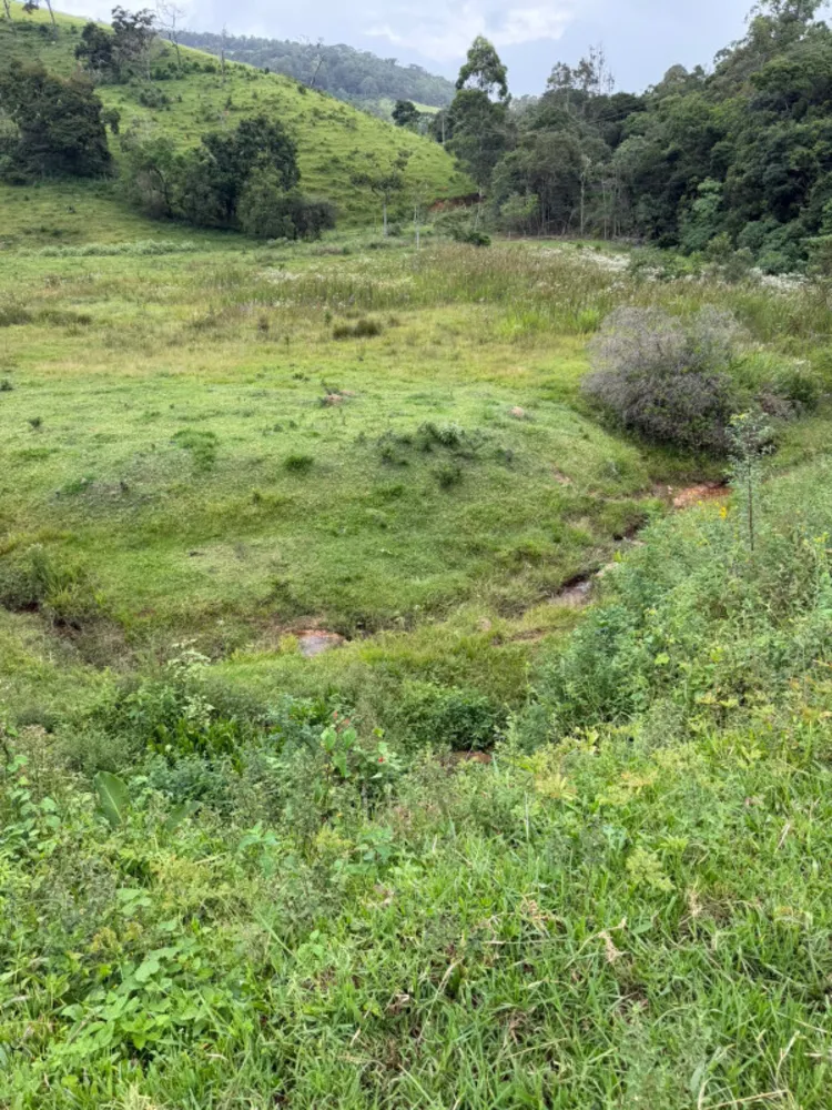 Fazenda, 73 hectares - Foto 7