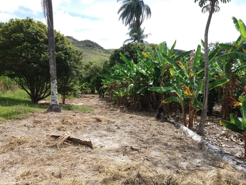 Chácara, 1 quarto - Foto 8