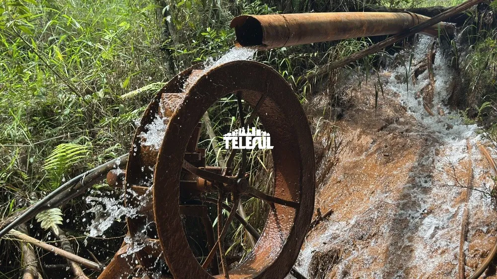 Fazenda, 1 quarto - Foto 6