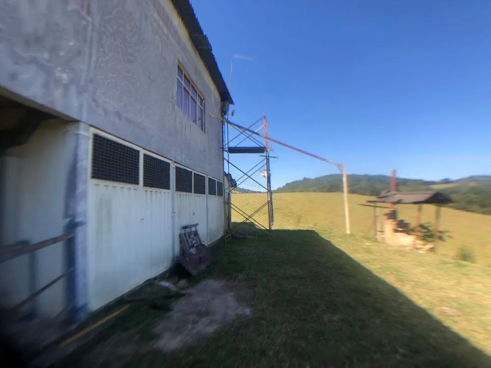 Fazenda, 5 quartos - Foto 8