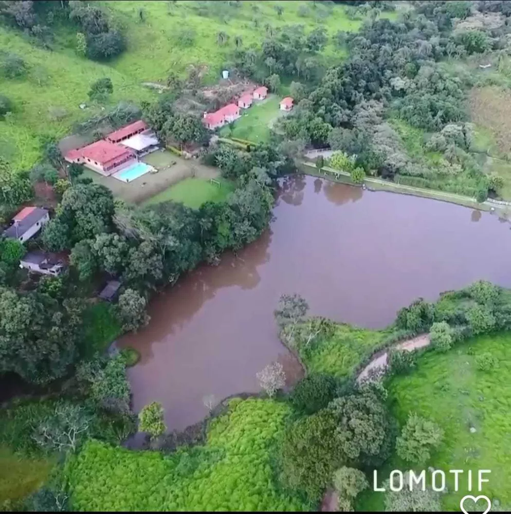 Chácara à venda com 3 quartos, 65000m² - Foto 4