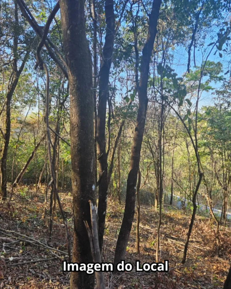 Terreno, 2800 m² - Foto 1