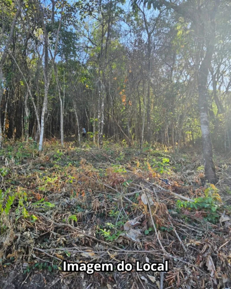 Terreno, 2800 m² - Foto 2