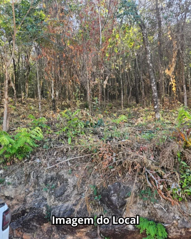 Terreno, 2800 m² - Foto 8