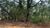 Terreno, 5000 m² - Foto 3