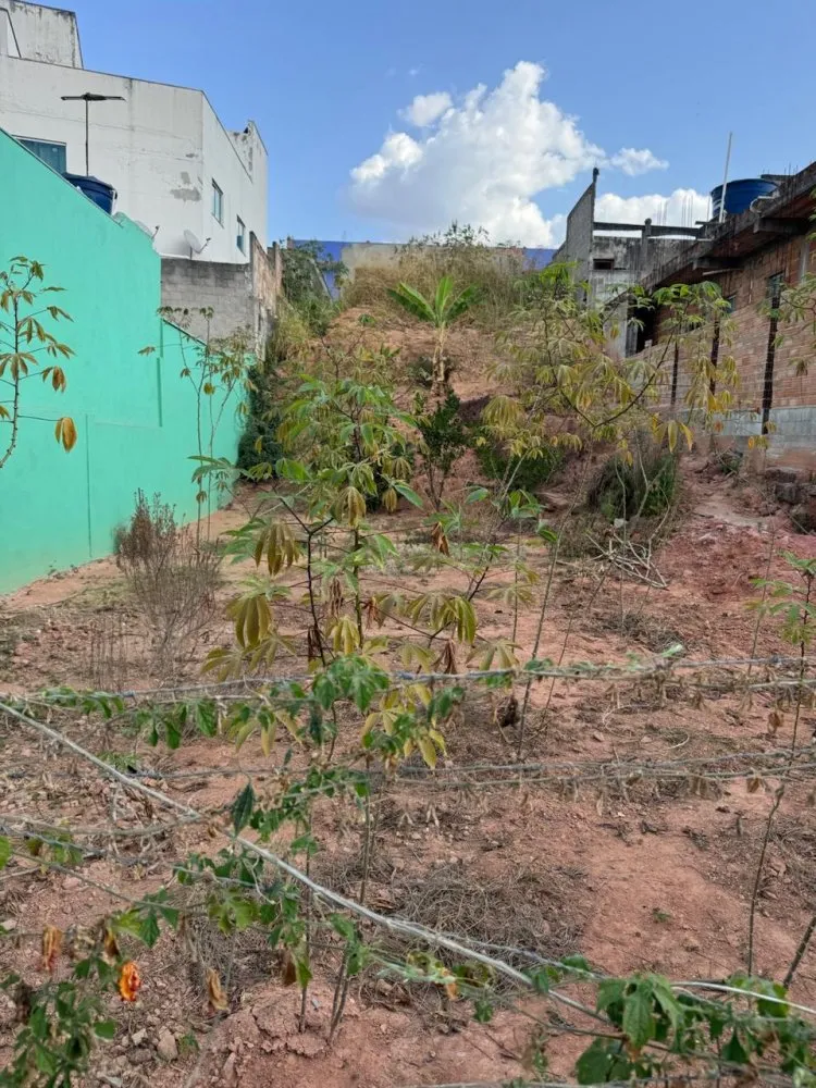 Terreno, 250 m² - Foto 6