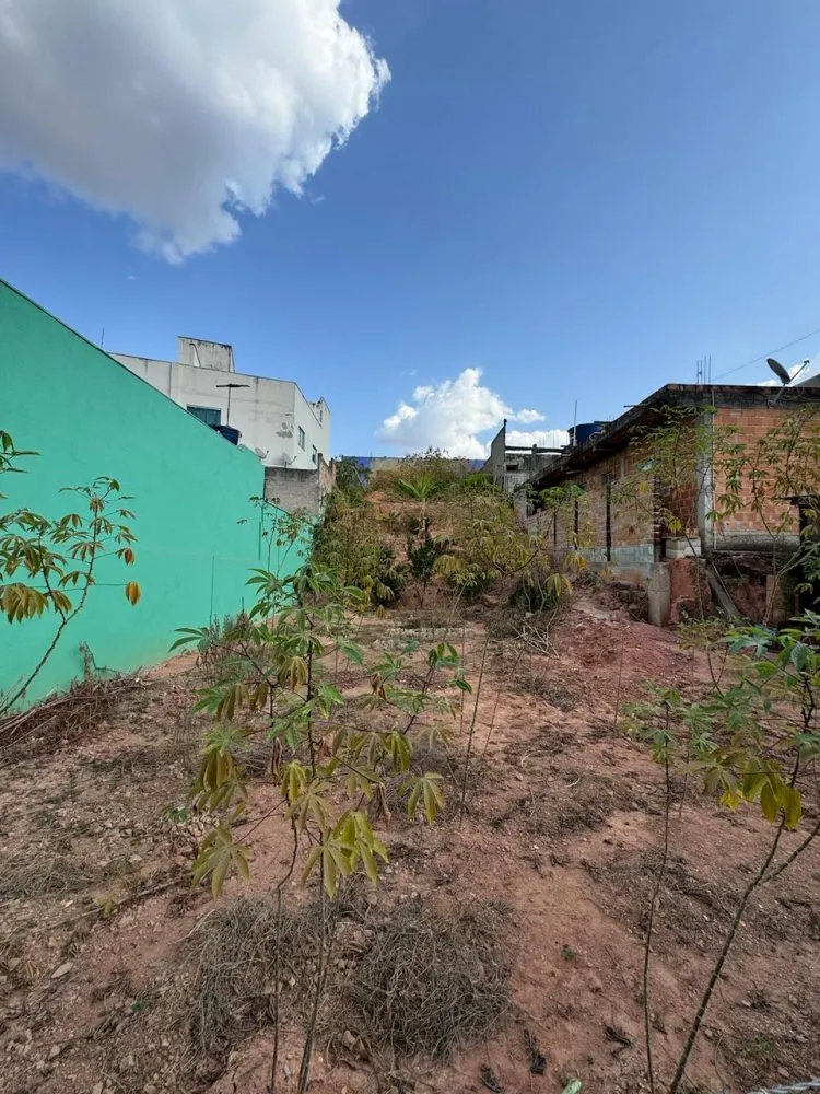 Terreno, 250 m² - Foto 4