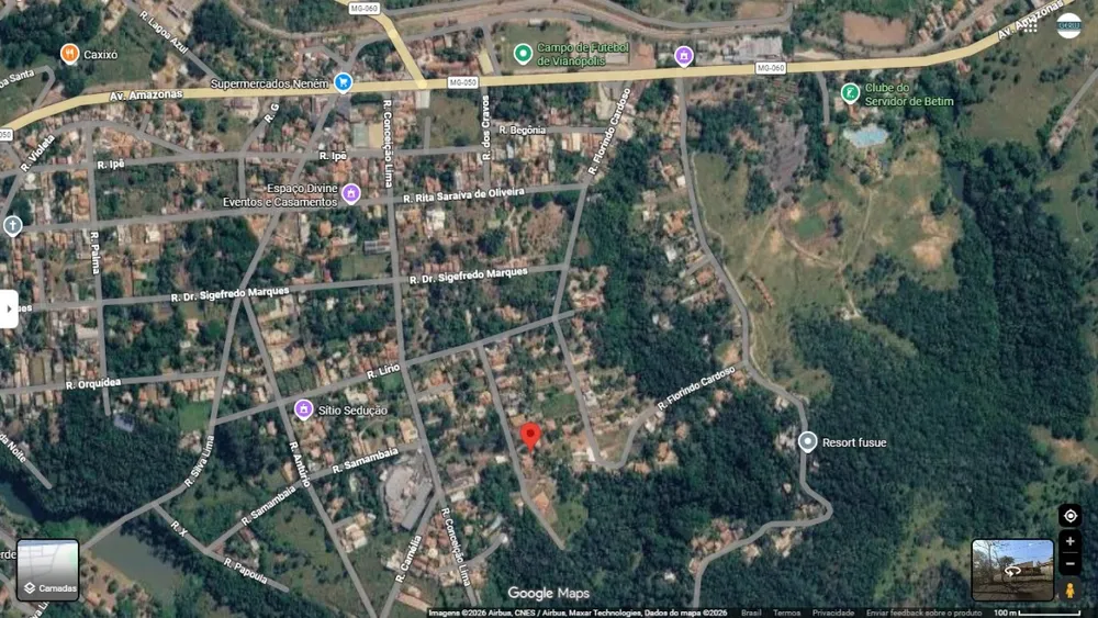 Chácara, 4 quartos, 3000 m² - Foto 4