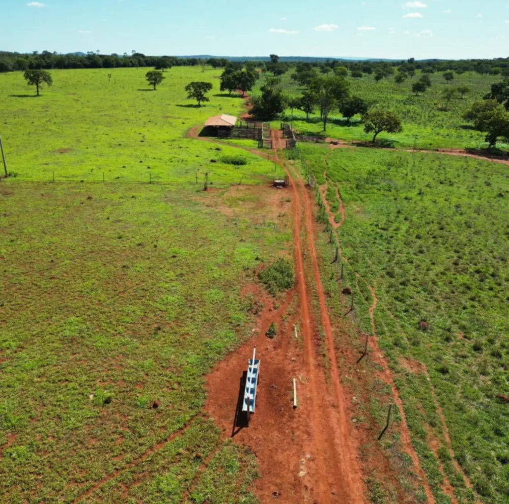 Fazenda, 1 quarto - Foto 7