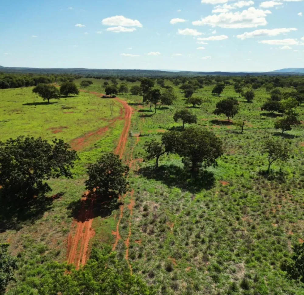 Fazenda, 1 quarto - Foto 4
